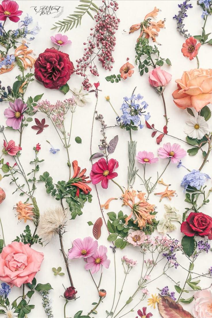 Serene Sunset Exotic Flower Mix